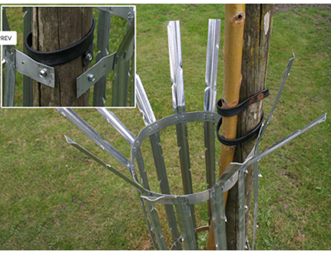 Corset métal - protège tronc